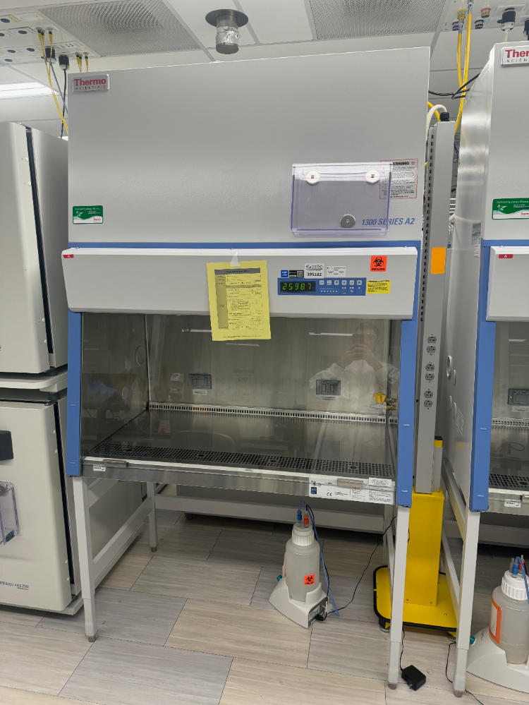 Image of Thermo 1300 Series A2 4' Biosafety Cabinet
